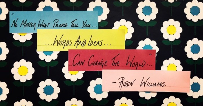 Robin Williams quote